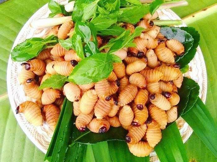 Đuông dừa: "Đặc sản nước Nam"