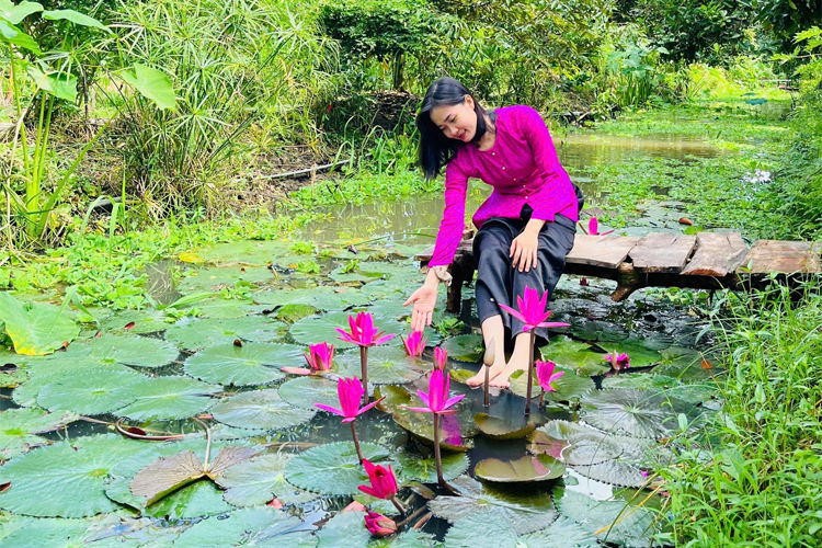 Góc "chữa lành"
