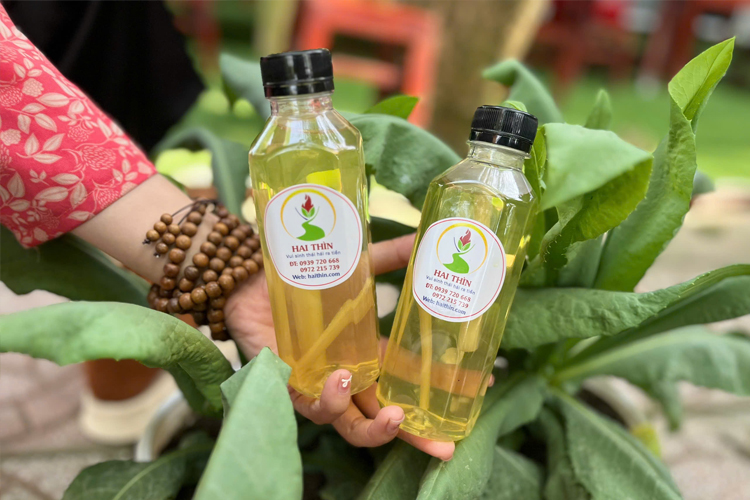 Nước mát Bồ Công Anh & Mía Lau